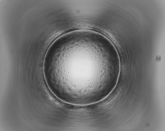 X0000091370433200708101535