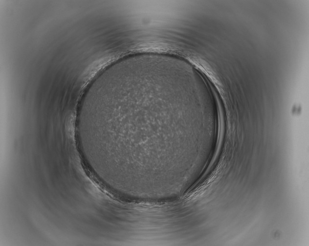 X0000091370434200708101535