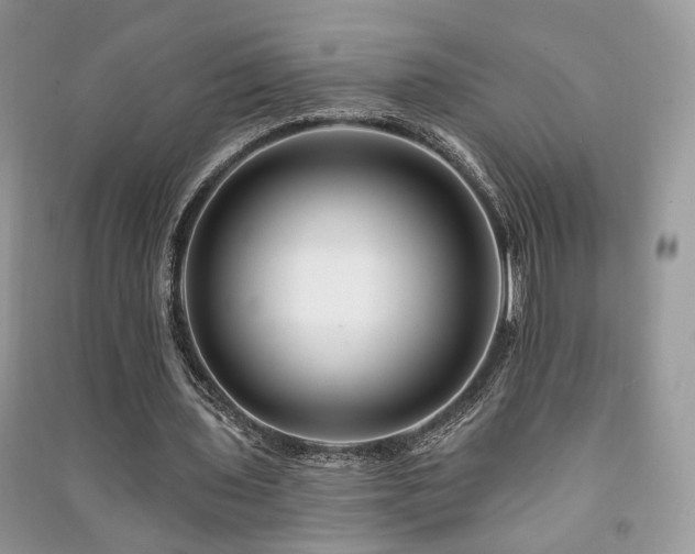 X0000091370435200708101535