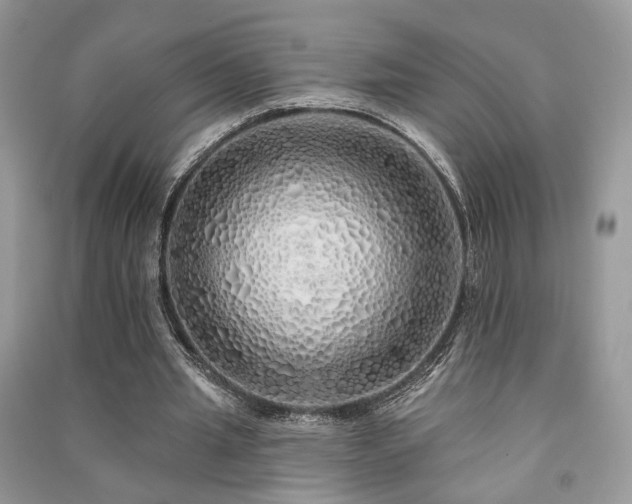 X0000091370437200708101535