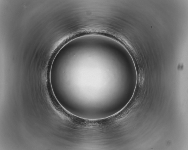 X0000091370438200708101535