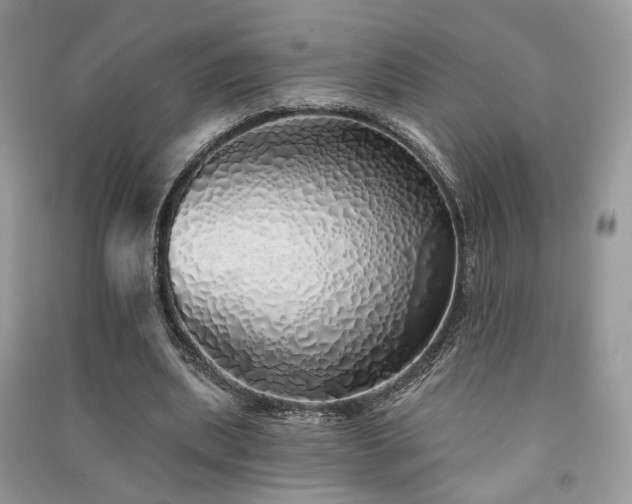 X0000091370439200708101535