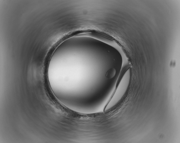 X0000091370440200708101535