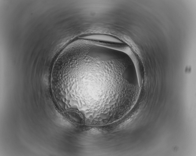 X0000091370441200708101536