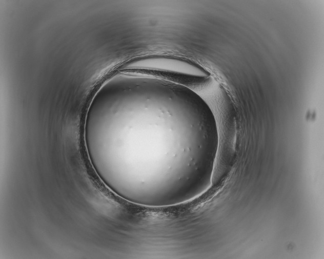 X0000091370442200708101536