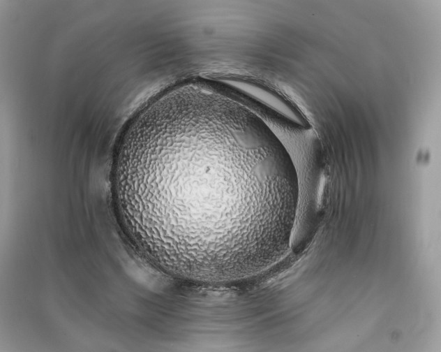 X0000091370443200708101536