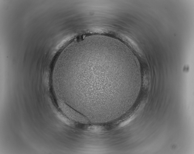 X0000091370444200708101536