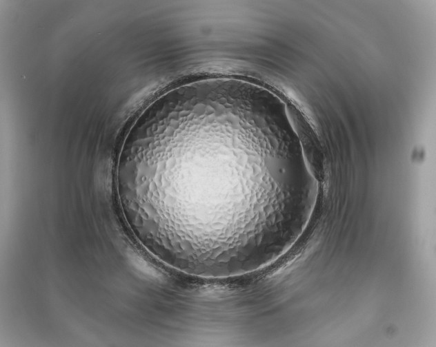 X0000091370445200708101536