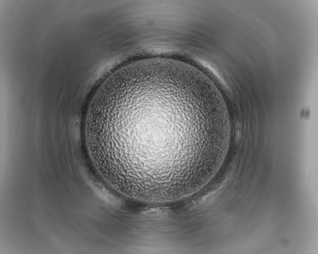 X0000091370447200708101536