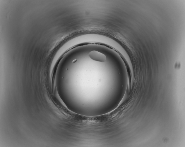 X0000091370448200708101536