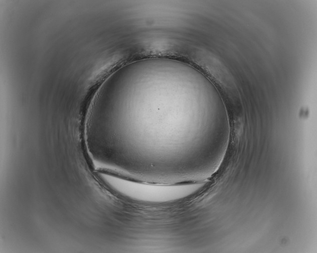 X0000091370450200708101536