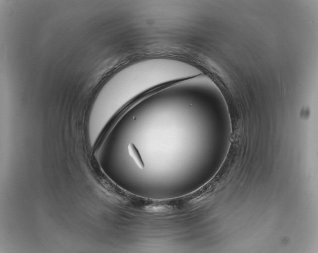 X0000091370452200708101536