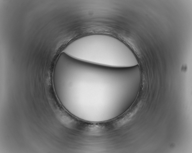 X0000091370453200708101536