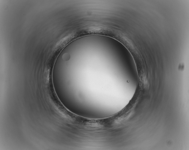 X0000091370454200708101536