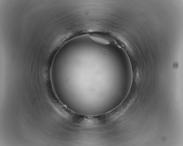 X0000091370455200708101536