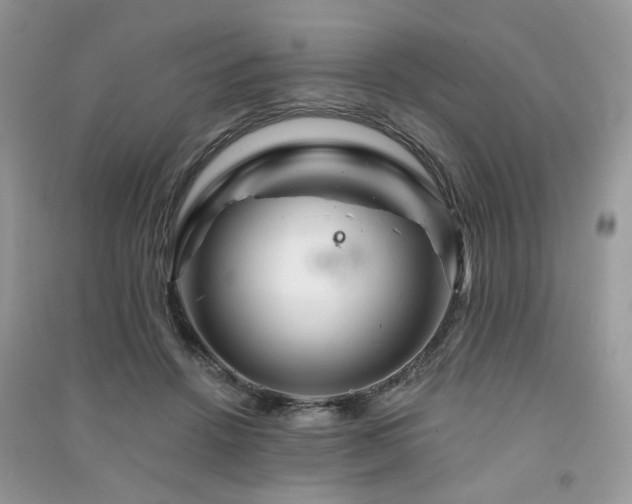 X0000091370456200708101536