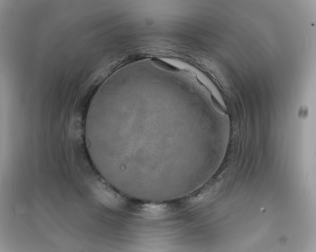 X0000091370457200708101536