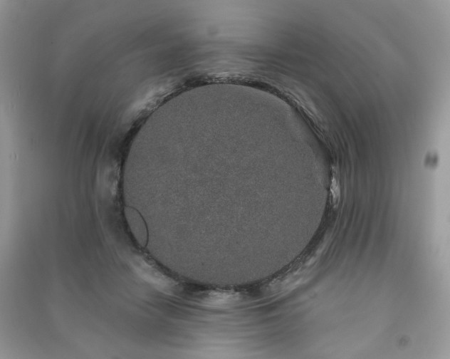 X0000091370458200708101536