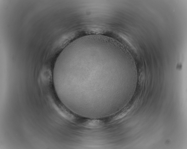 X0000091370459200708101536