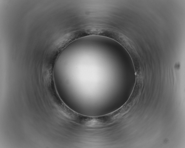 X0000091370460200708101536