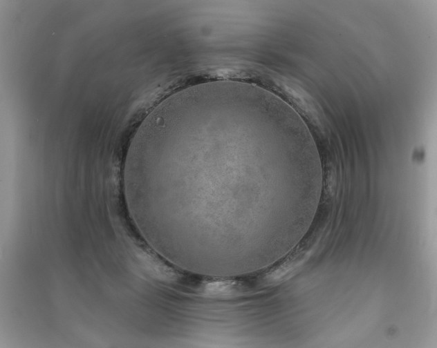 X0000091370461200708101536