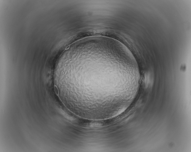 X0000091370462200708101536