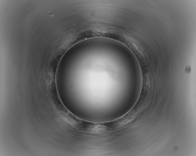 X0000091370463200708101536