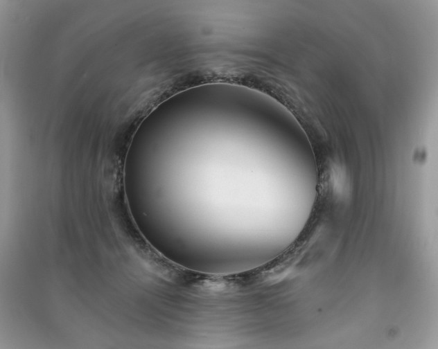 X0000091370464200708101536