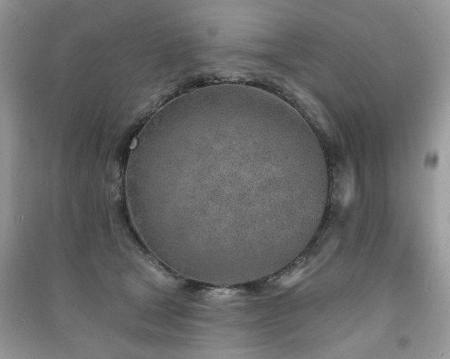 X0000091370465200708101536