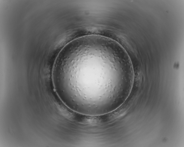 X0000091370466200708101536