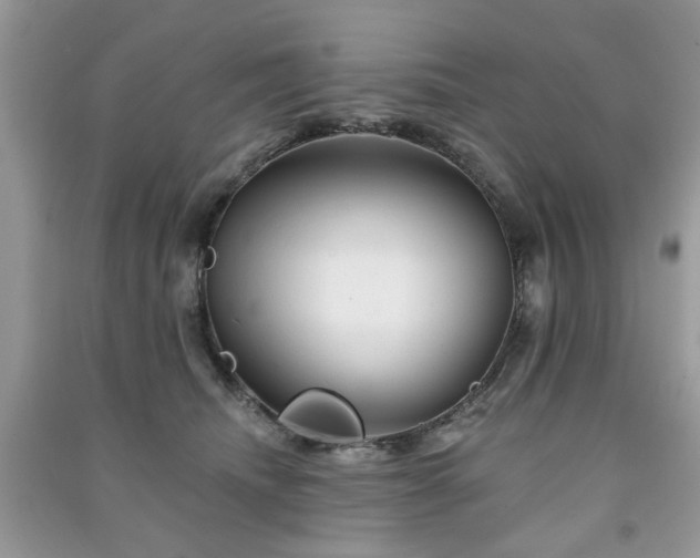 X0000091370468200708101536