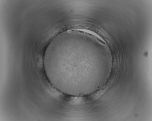 X0000091370469200708101536