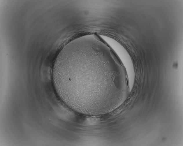 X0000091370470200708101536