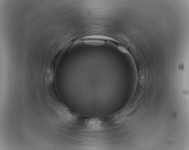 X0000091370471200708101536