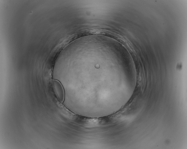 X0000091370473200708101536