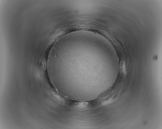 X0000091370474200708101536