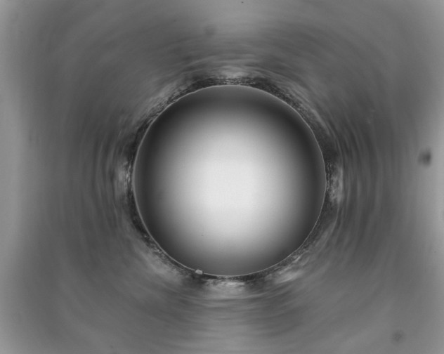 X0000091370476200708101536