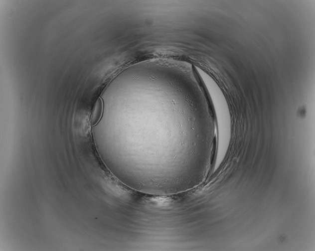 X0000091370478200708101536