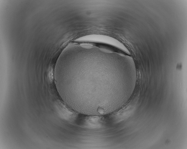 X0000091370479200708101536