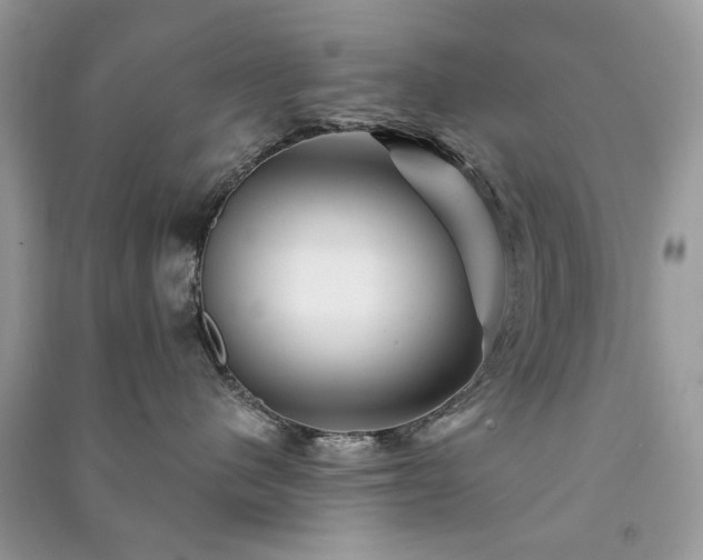 X0000091370480200708101536