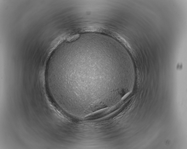 X0000091370482200708101535