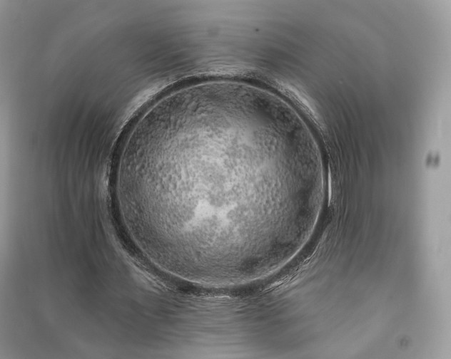 X0000091370483200708101535