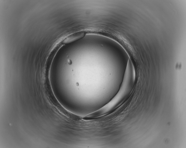 X0000091370484200708101535