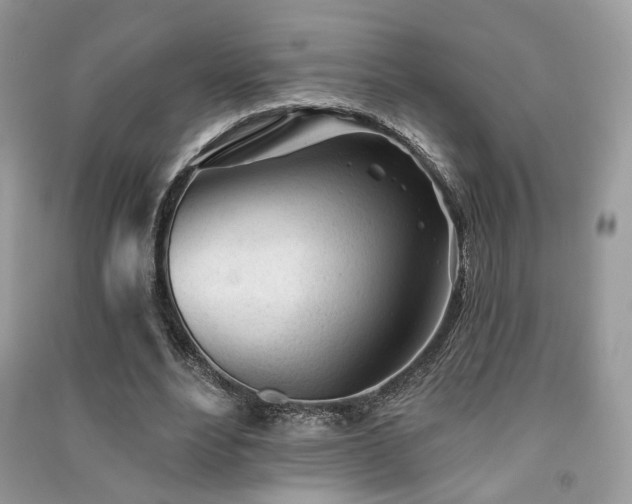 X0000091370488200708101535