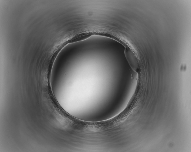 X0000091370489200708101535