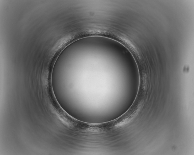 X0000091370490200708101535