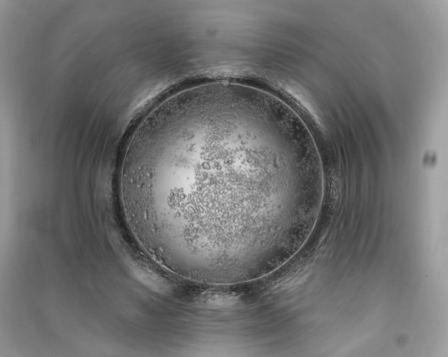 X0000091370491200708101535