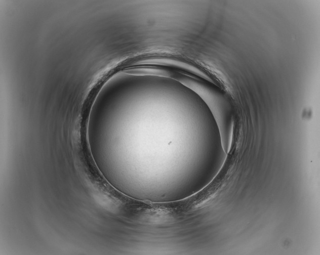 X0000091370492200708101535