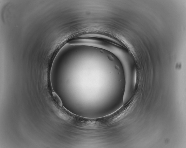 X0000091370493200708101535