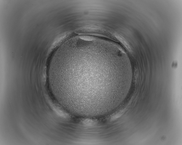 X0000091370494200708101535